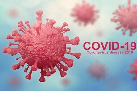 کدام متغیرها در پایداری ویروس کرونا موثر هستند؟