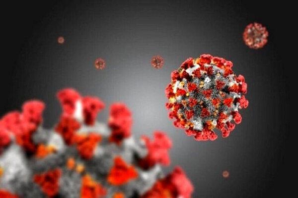 جهش های جدید کرونا در دانمارک خطری برای واکسن ها شد جهش های جدید کرونا در دانمارک خطری برای واکسن ها شد
