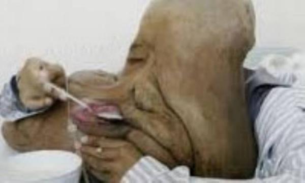 مرد فیلی با قلبی کوچک مرد فیلی با قلبی کوچک