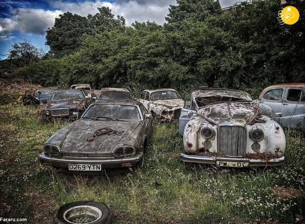 معمای خودرو های کلاسیک رها شده در مزرعه