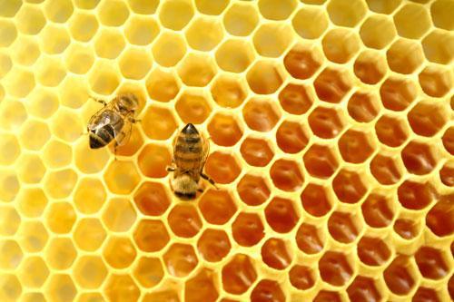 روش هایی برای تشخیص عسل طبیعی