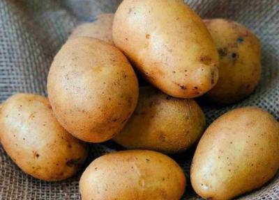 این 9 نوع کربوهیدارت را هیچ وقت از رژیم تان حذف نکنید!